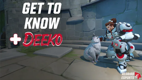 Get to Know Deeko